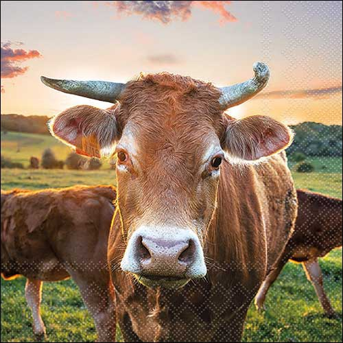Paper Napkins - Cow in Sunset