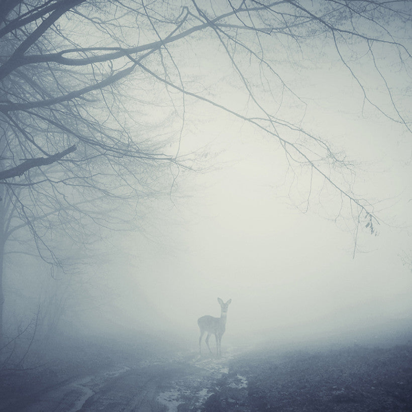 Misty Road, 50cmx70cm wall art