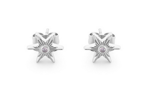 Compass Star Stud Earrings Silver