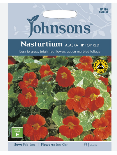 Nastursium - Alaska Tip Top Red