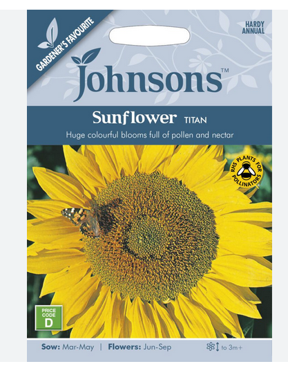 Sunflower - Titan