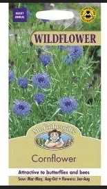 Wildflowers - Cornflower