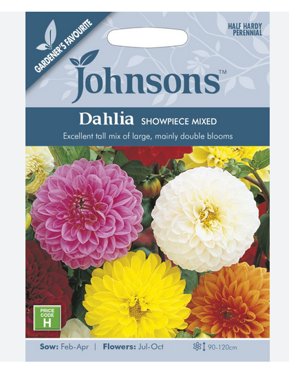 Dahlia - Showpiece Mixed