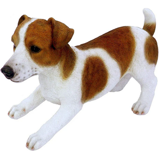 VA RL Jack Russell