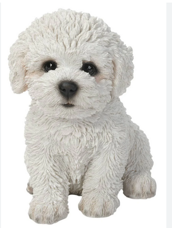 Pet Pals - Bichon Frise