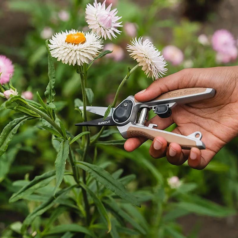 KS Garden Life Snips