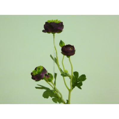 Ranunculus Spray Purple