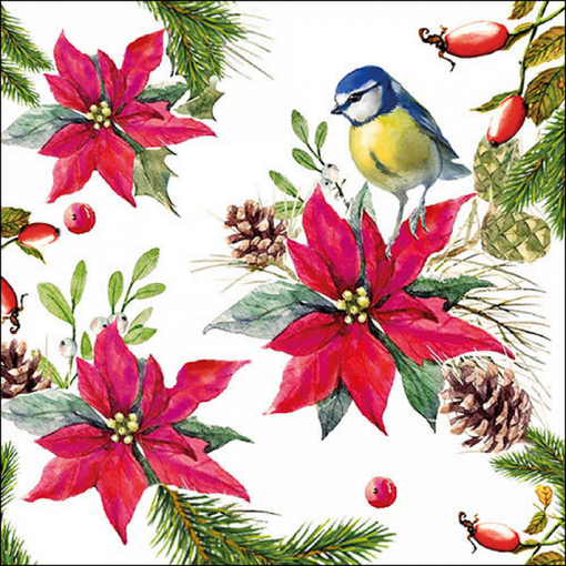 Paper Napkins - Birds on Poinsettia