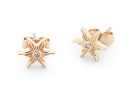 Compass Star Stud Earrings Gold