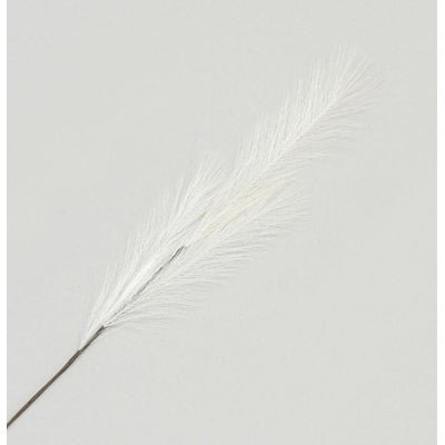 Pampas Grass Spray White 82cm - Rathwood Store