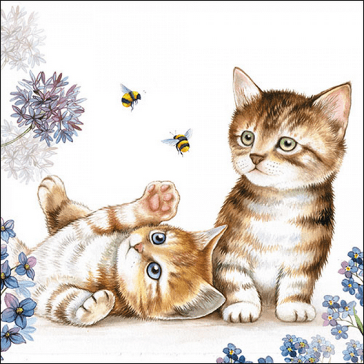 Paper Napkins - Cats & Bees - Rathwood Store