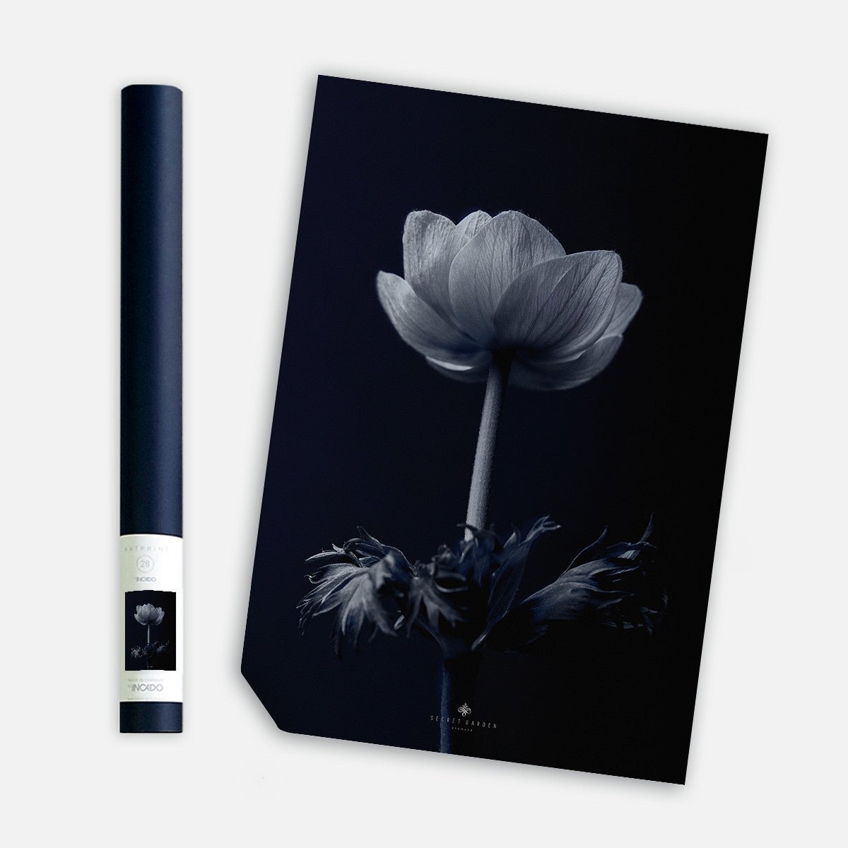 Anemone, 50cmx70cm wall art - Rathwood Store