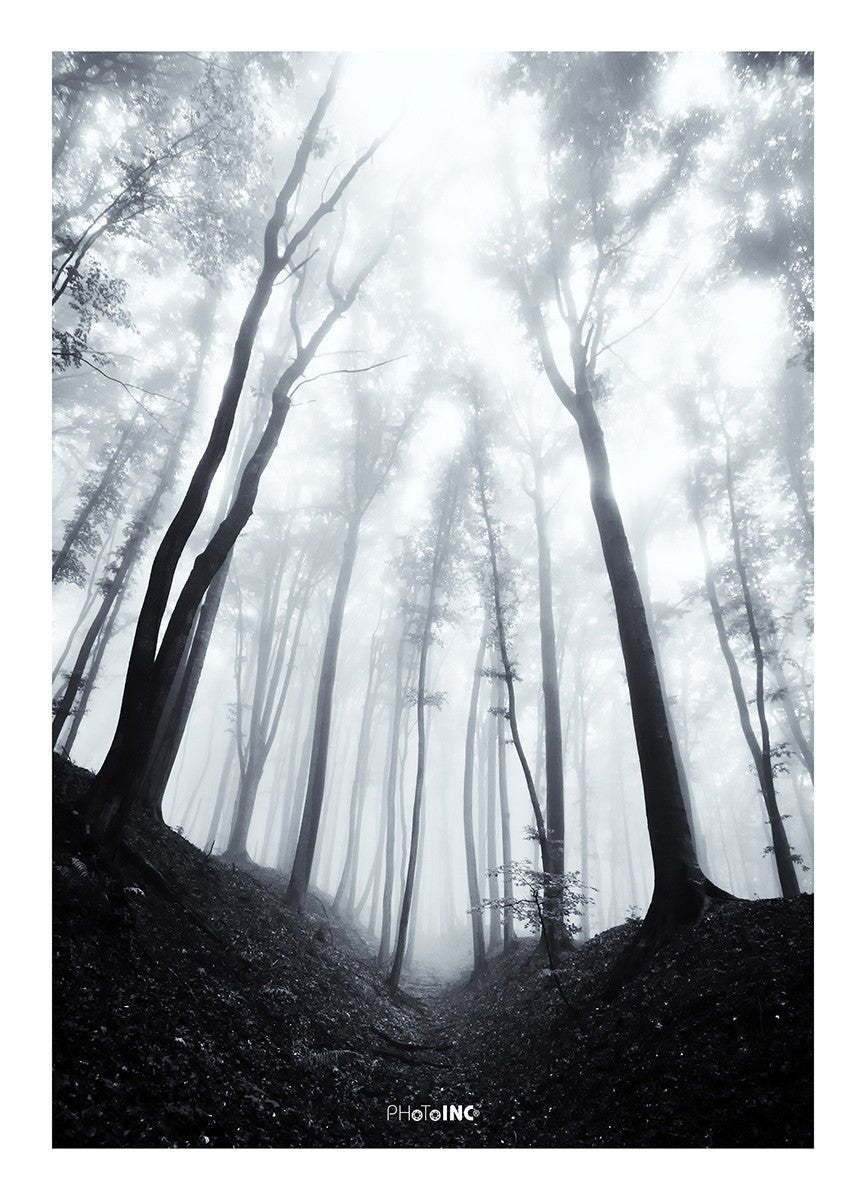 Balance, 15cmx21cm art block - Rathwood Store