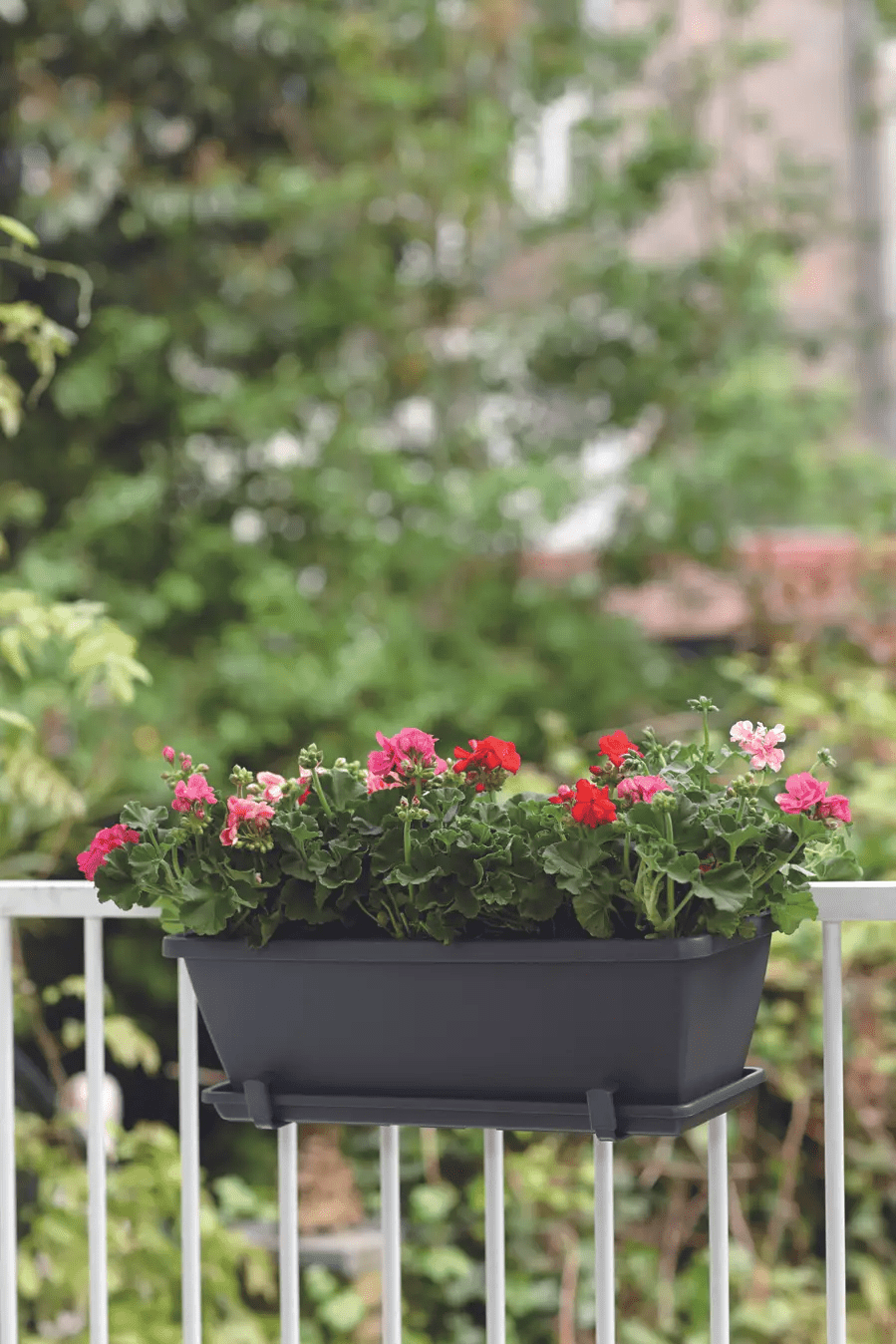 Barcelona Trough Saucer 50Cm (Anthracite) - Rathwood Store