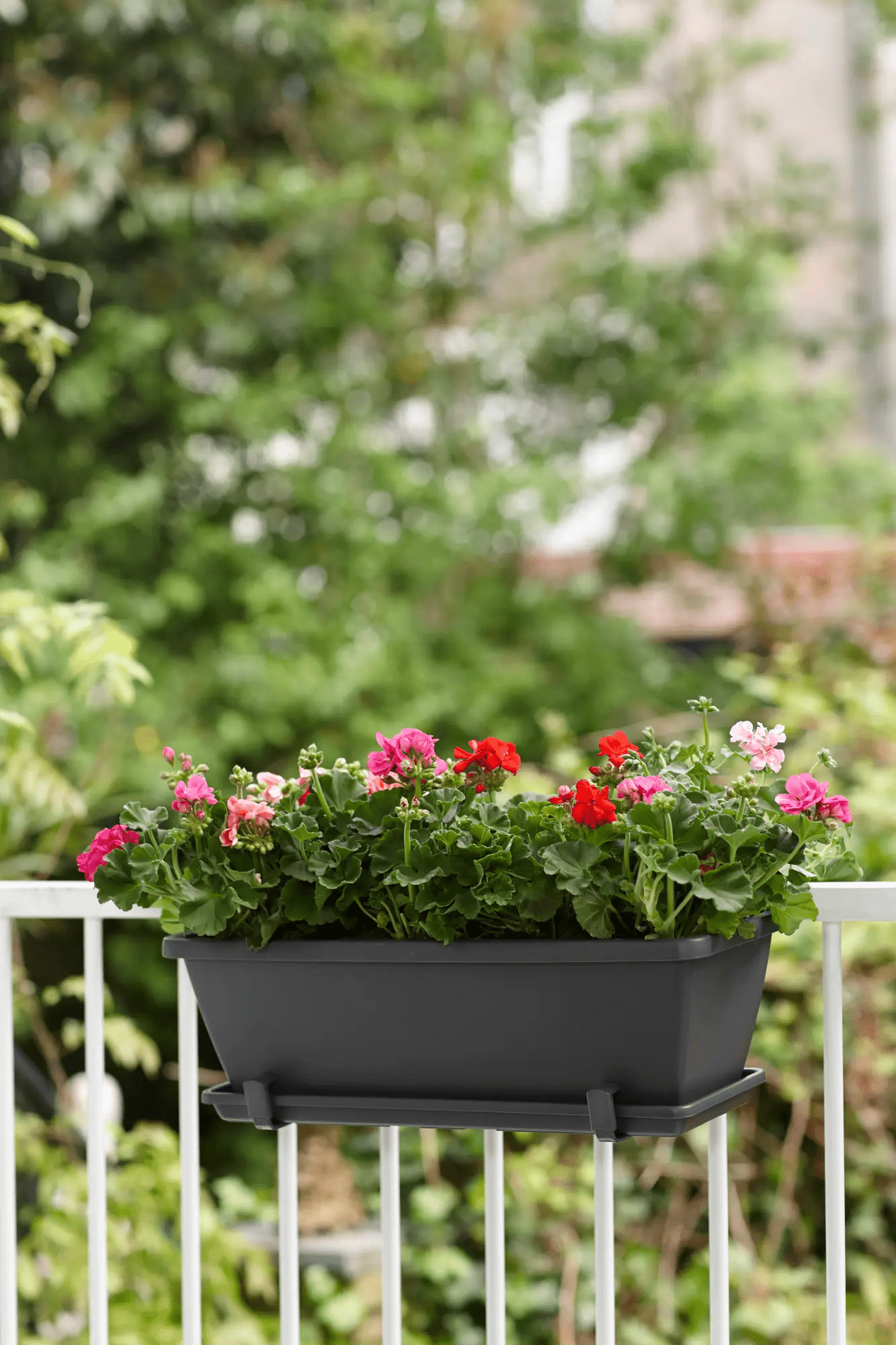 Barcelona Trough Saucer 50Cm (Anthracite) - Rathwood Store