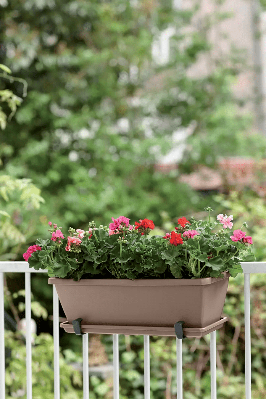 Barcelona Trough Saucer 50Cm (Taupe) - Rathwood Store