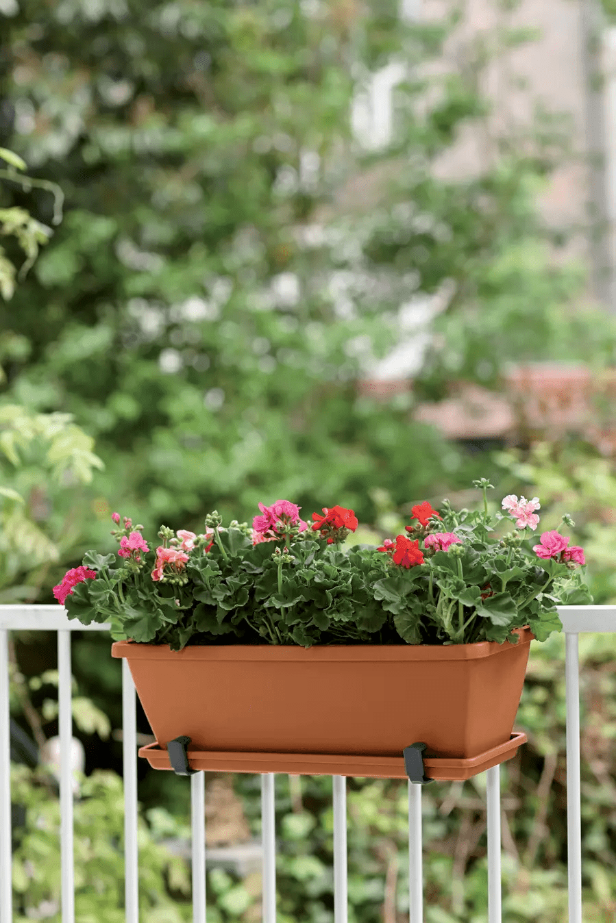 Barcelona Trough Saucer 50Cm (Terra) - Rathwood Store