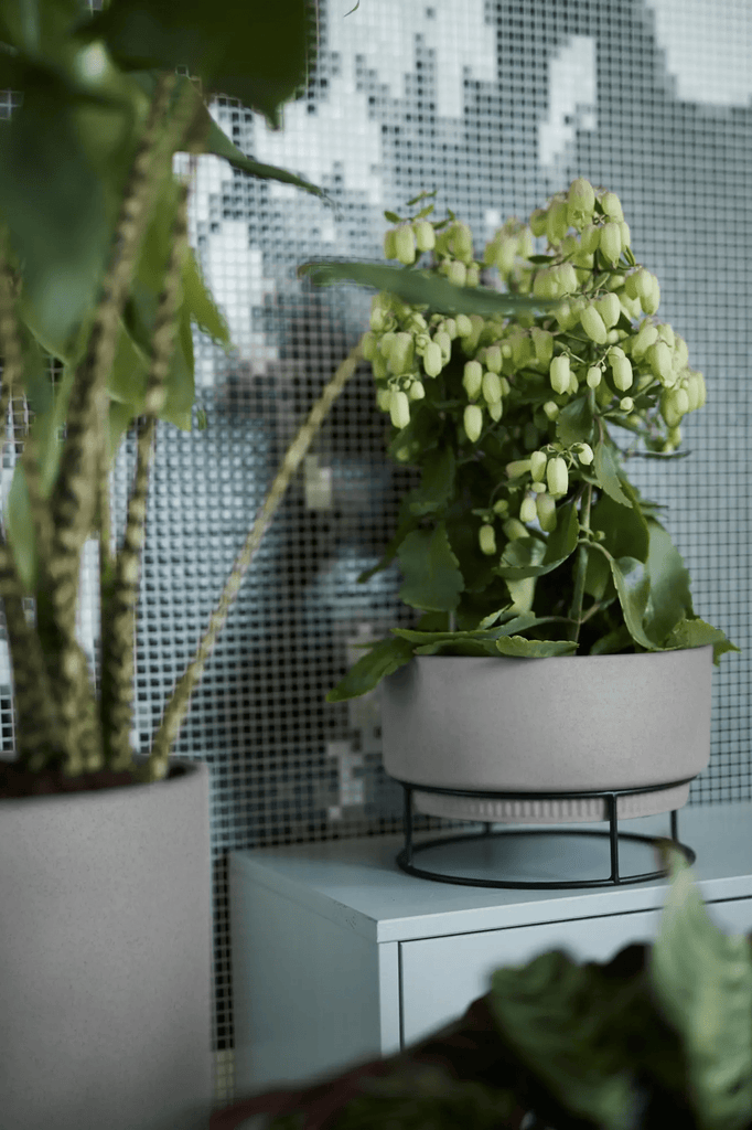B.For Studio Bowl 30Cm (Concrete) - Rathwood Store