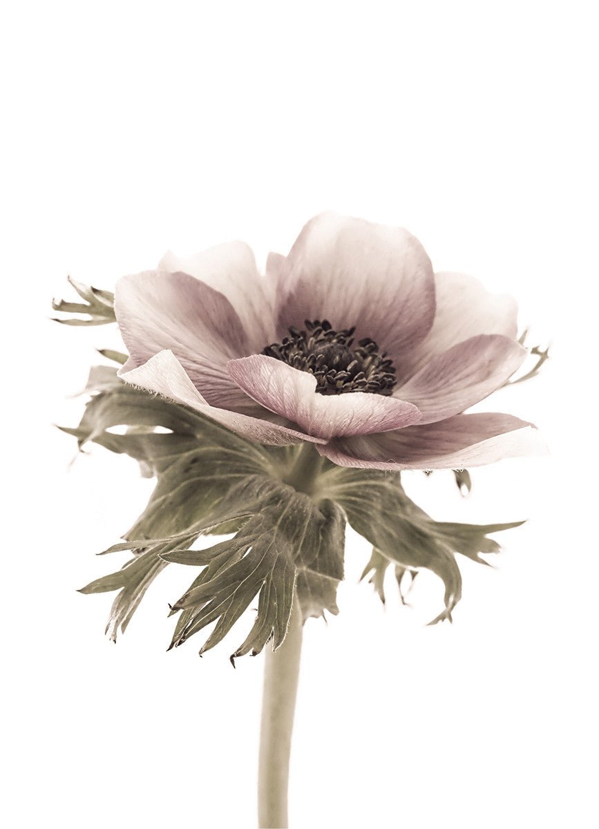 Blooming, 15cmx21cm art block - Rathwood Store