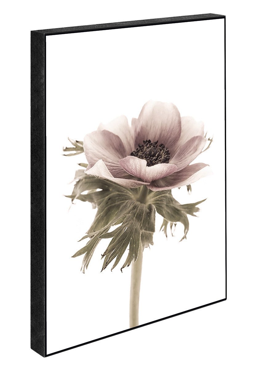 Blooming, 15cmx21cm art block - Rathwood Store