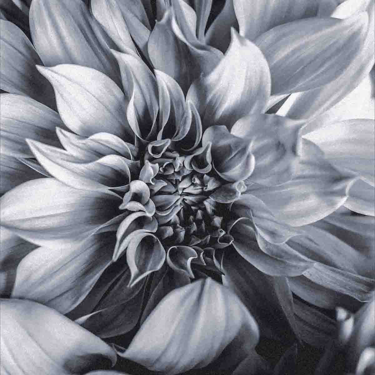 Blue Sun, 15cmx15cm art block - Rathwood Store