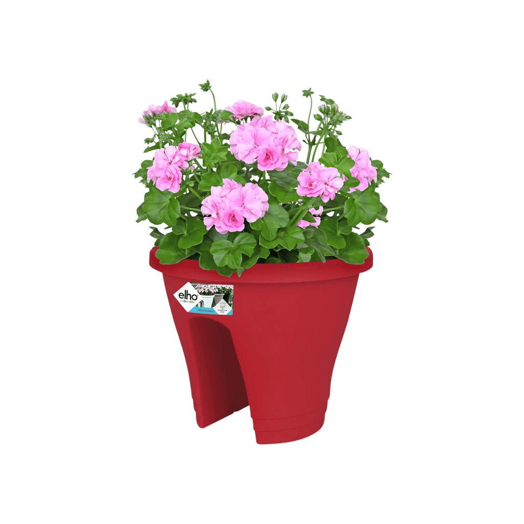 Corsica Flower Bridge 30Cm (Red) - Rathwood Store