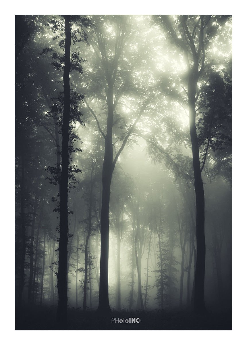 Daggry, 50cmx70cm wall art - Rathwood Store