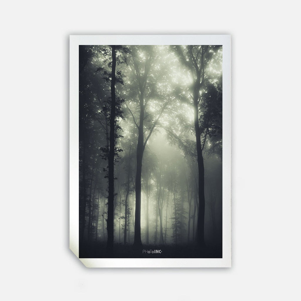 Daggry, 50cmx70cm wall art - Rathwood Store