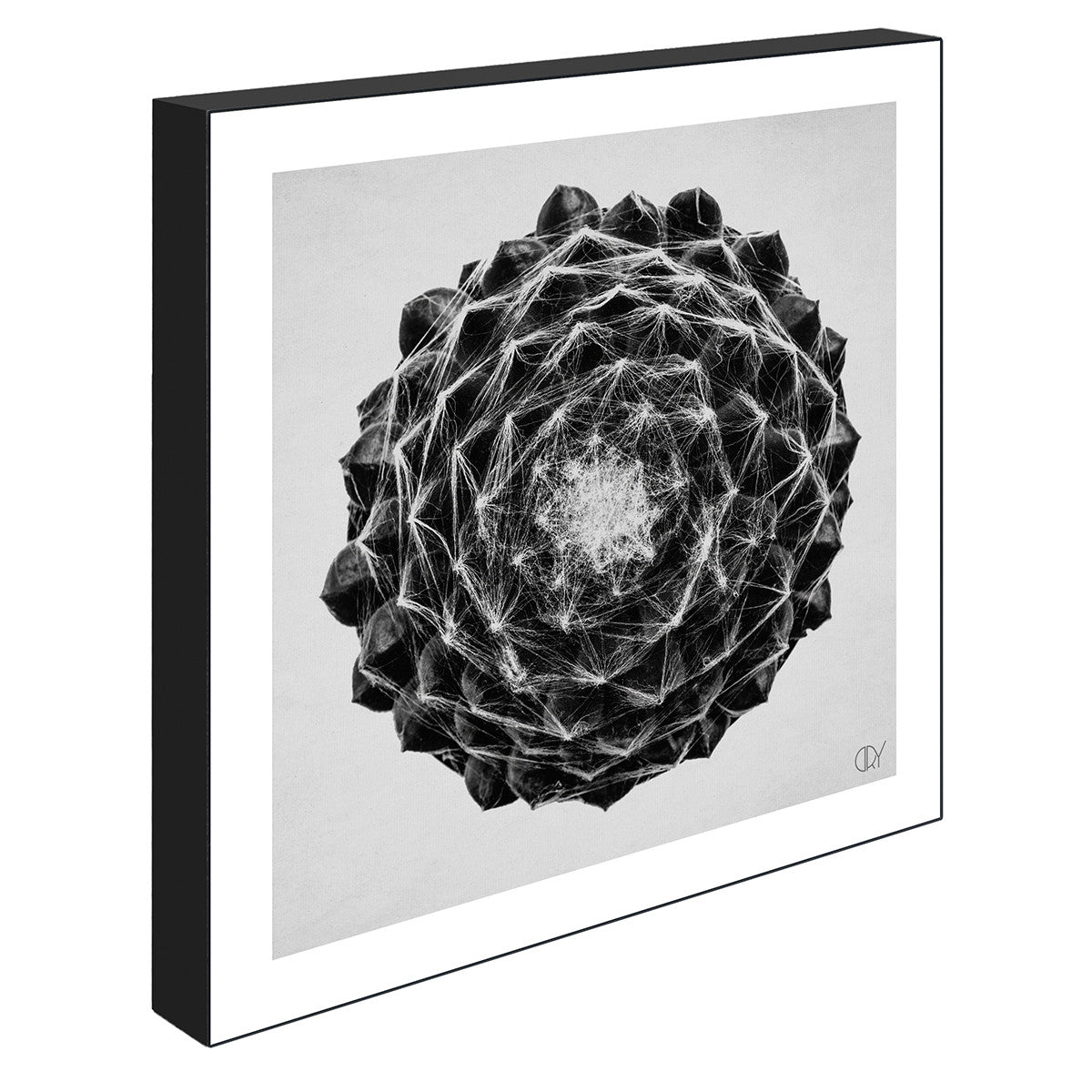 Front of Cactus, 21cmx21cm art block - Rathwood Store