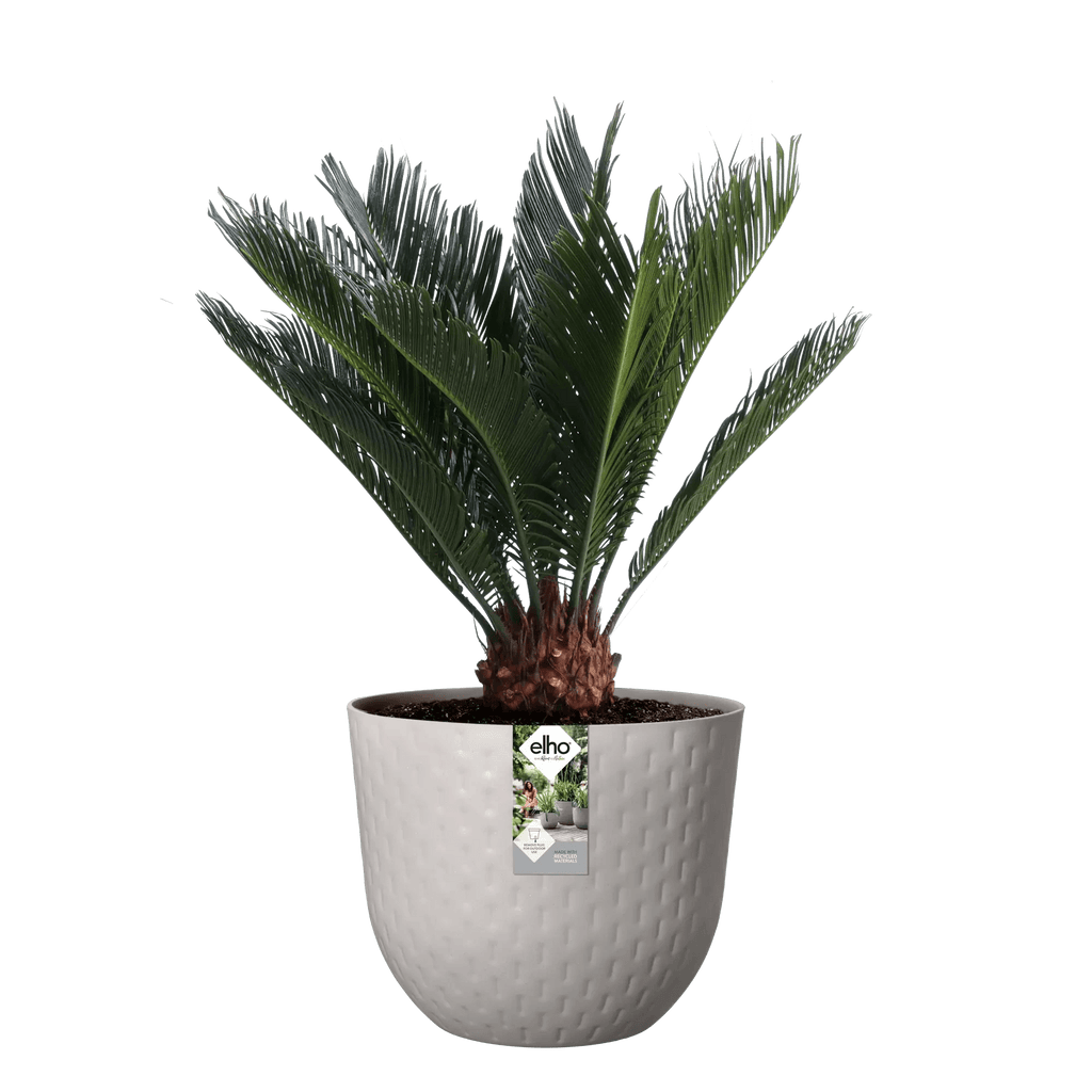 Fuente Grains Round 38Cm (Grey) - Rathwood Store