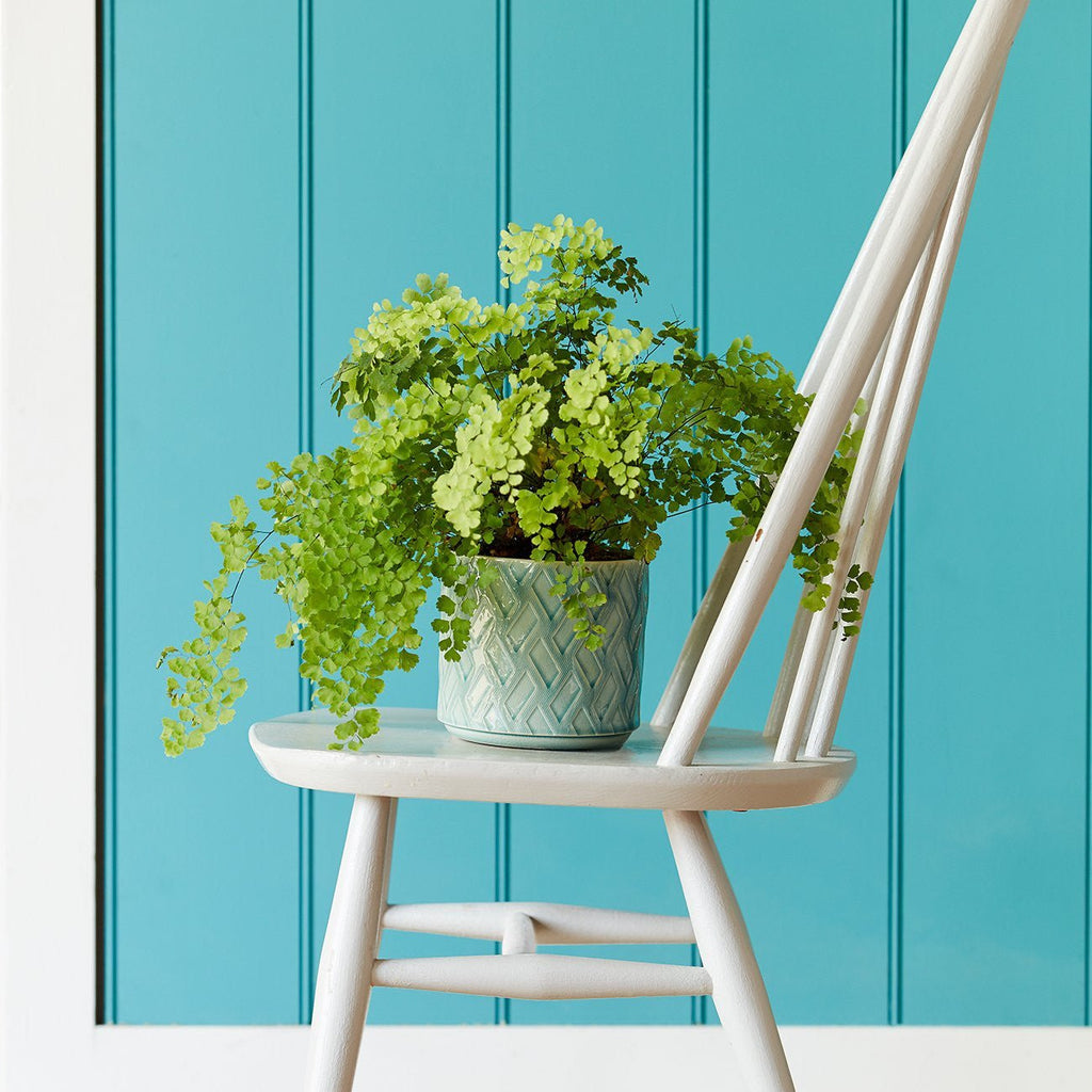 Glazed Pot - Barcelona Celadon - D14cm - Rathwood Store