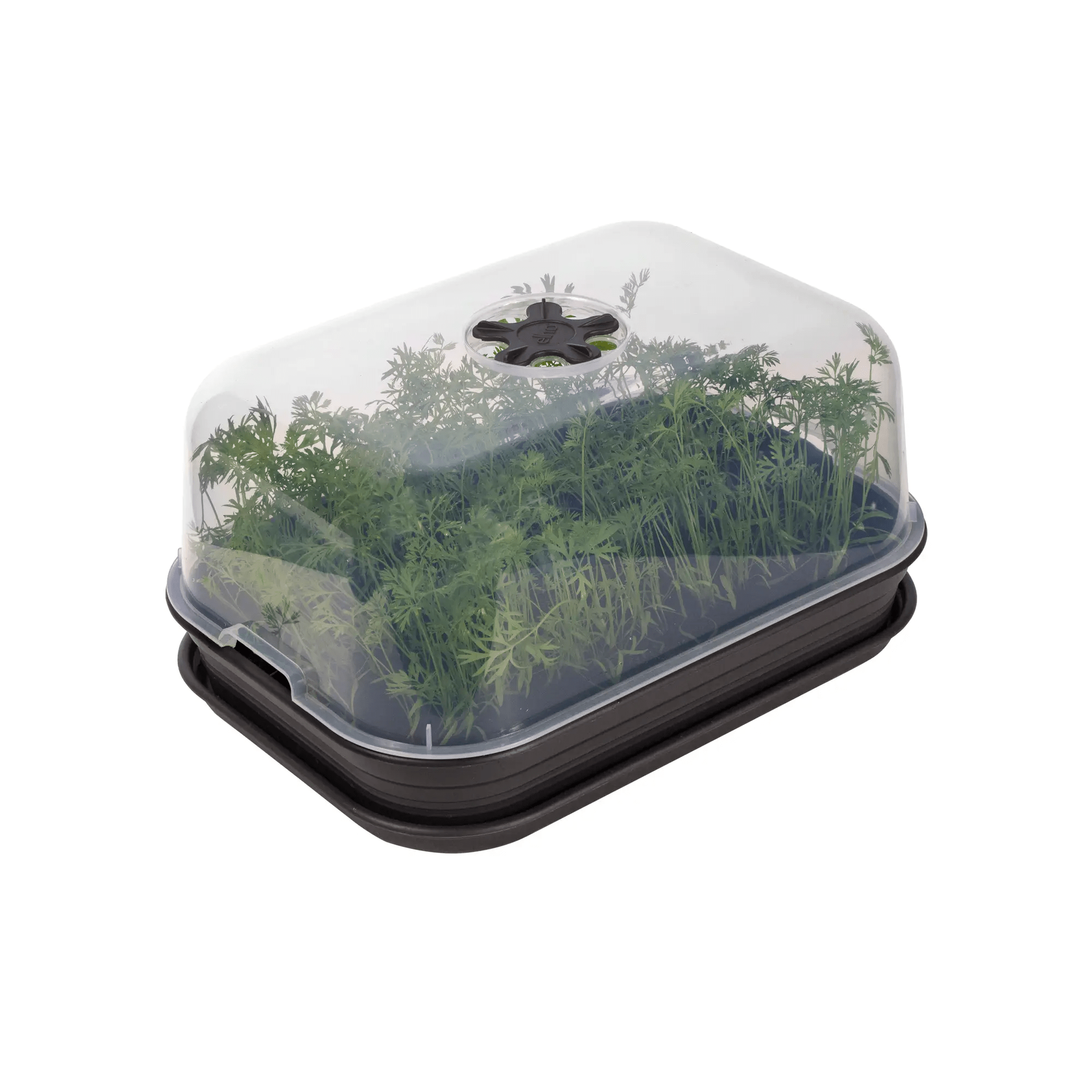 Green Basics Grow Kit Allin1 (Black) - Rathwood Store