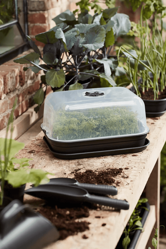 Green Basics Grow Kit Allin1 (Black) - Rathwood Store