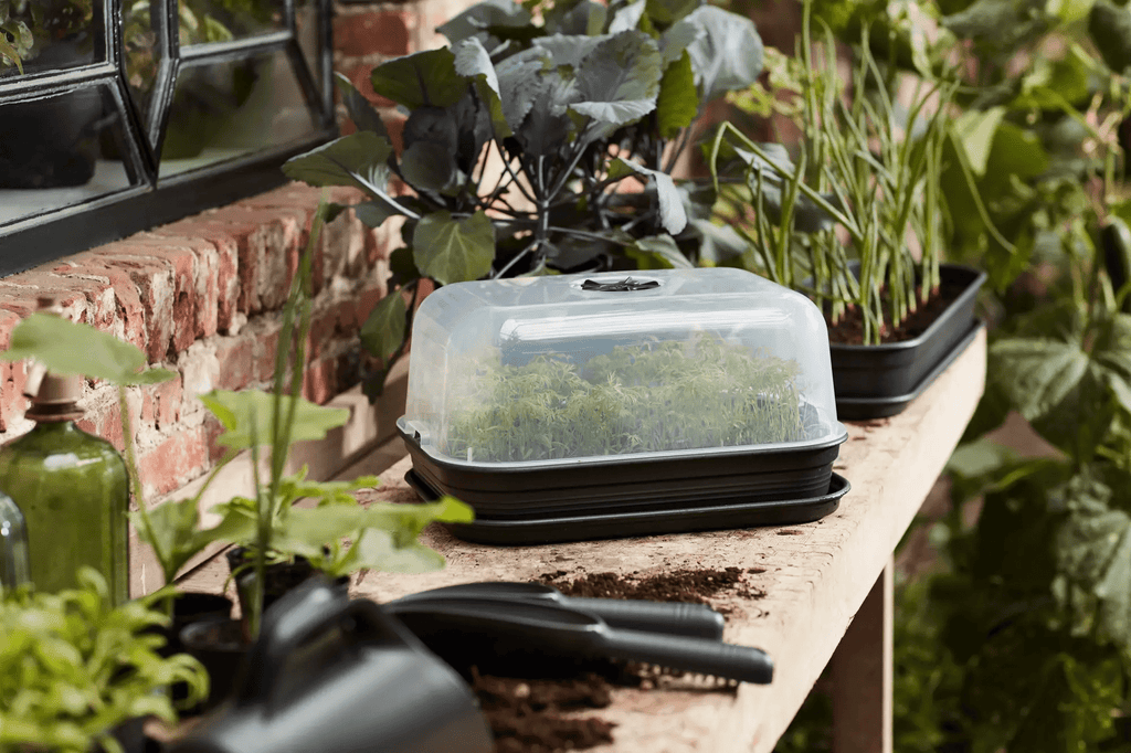 Green Basics Grow Kit Allin1 (Black) - Rathwood Store