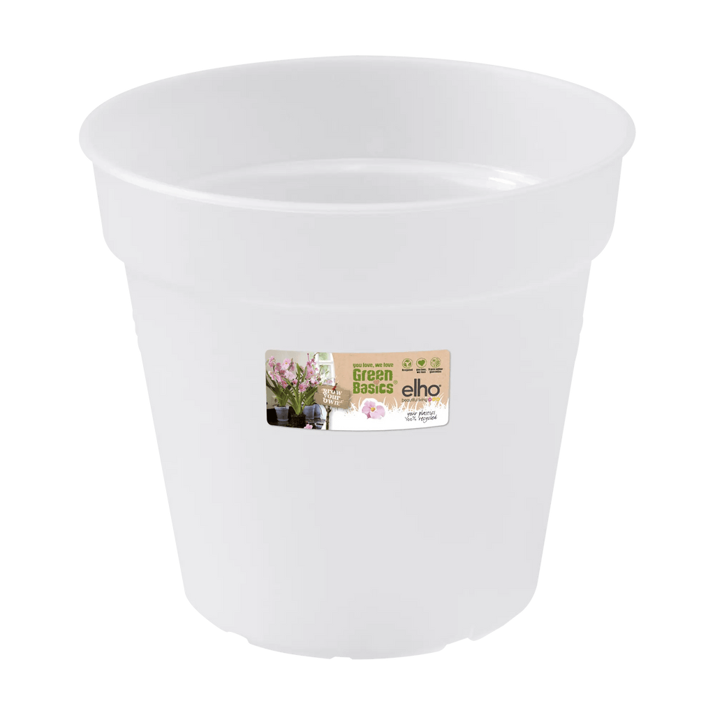 Green Basics Orchid 17Cm (Clear) - Rathwood Store
