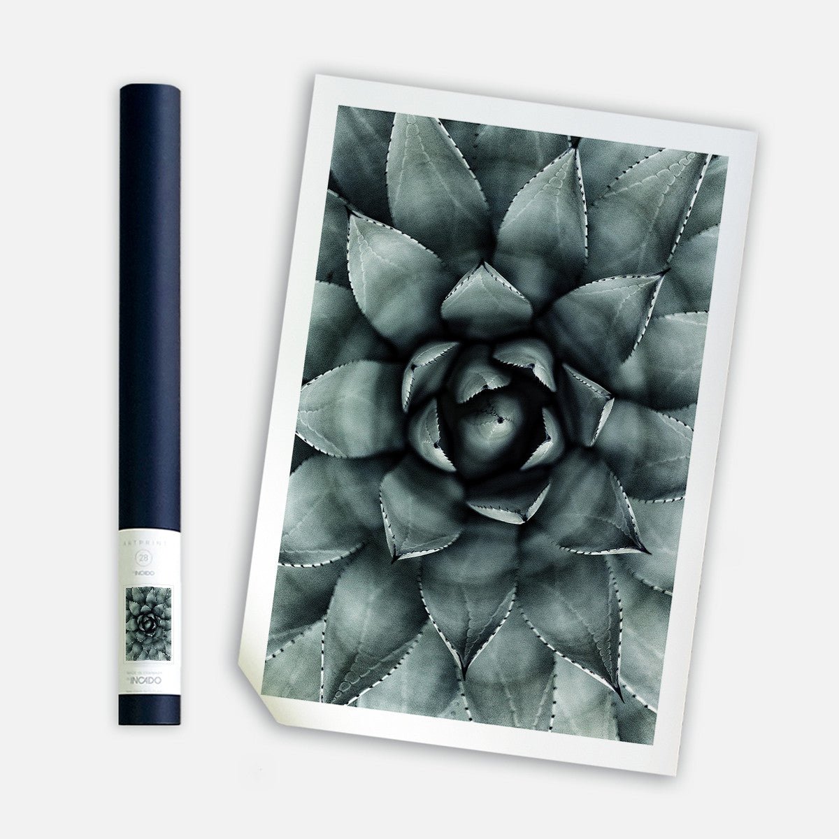 Green Star, 50cmx70cm wall art - Rathwood Store