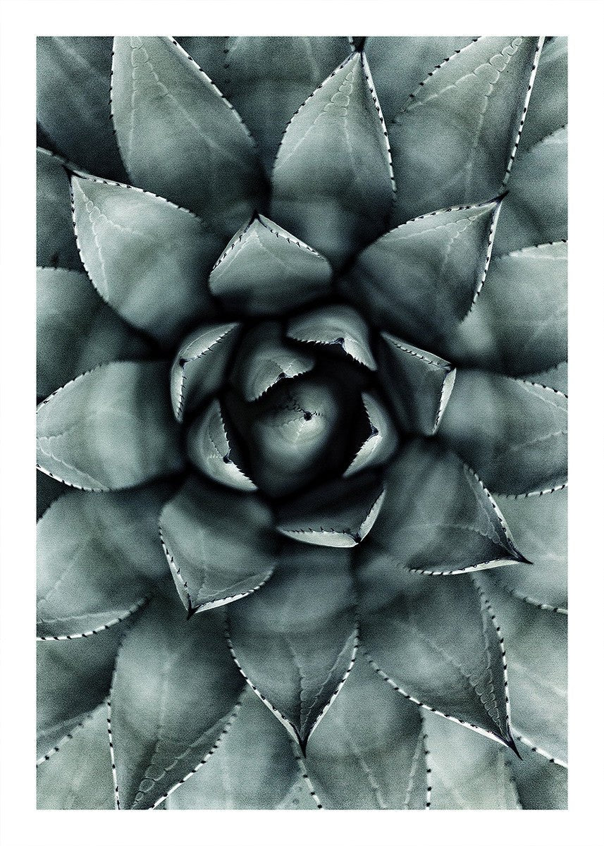 Green Star, 50cmx70cm wall art - Rathwood Store