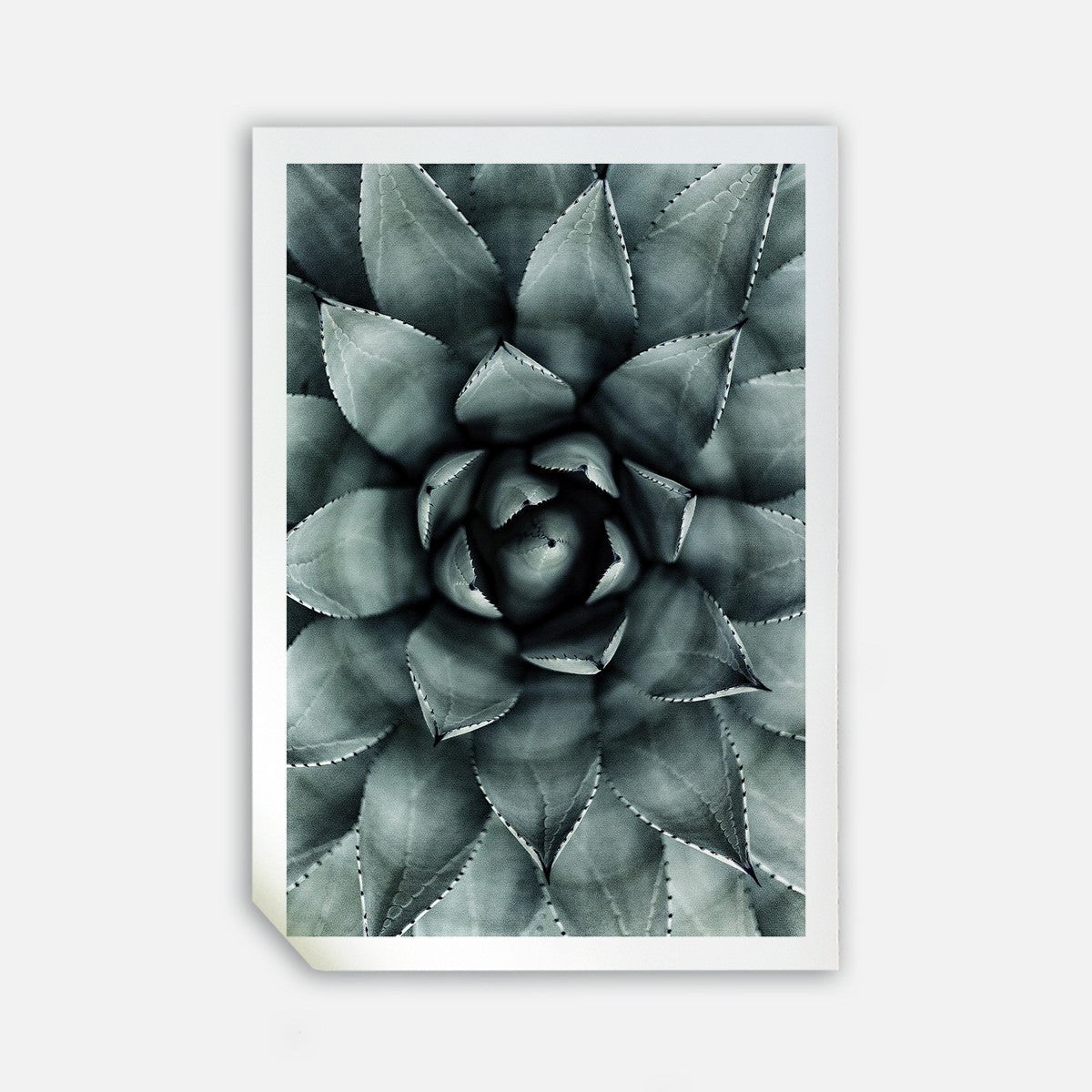 Green Star, 50cmx70cm wall art - Rathwood Store