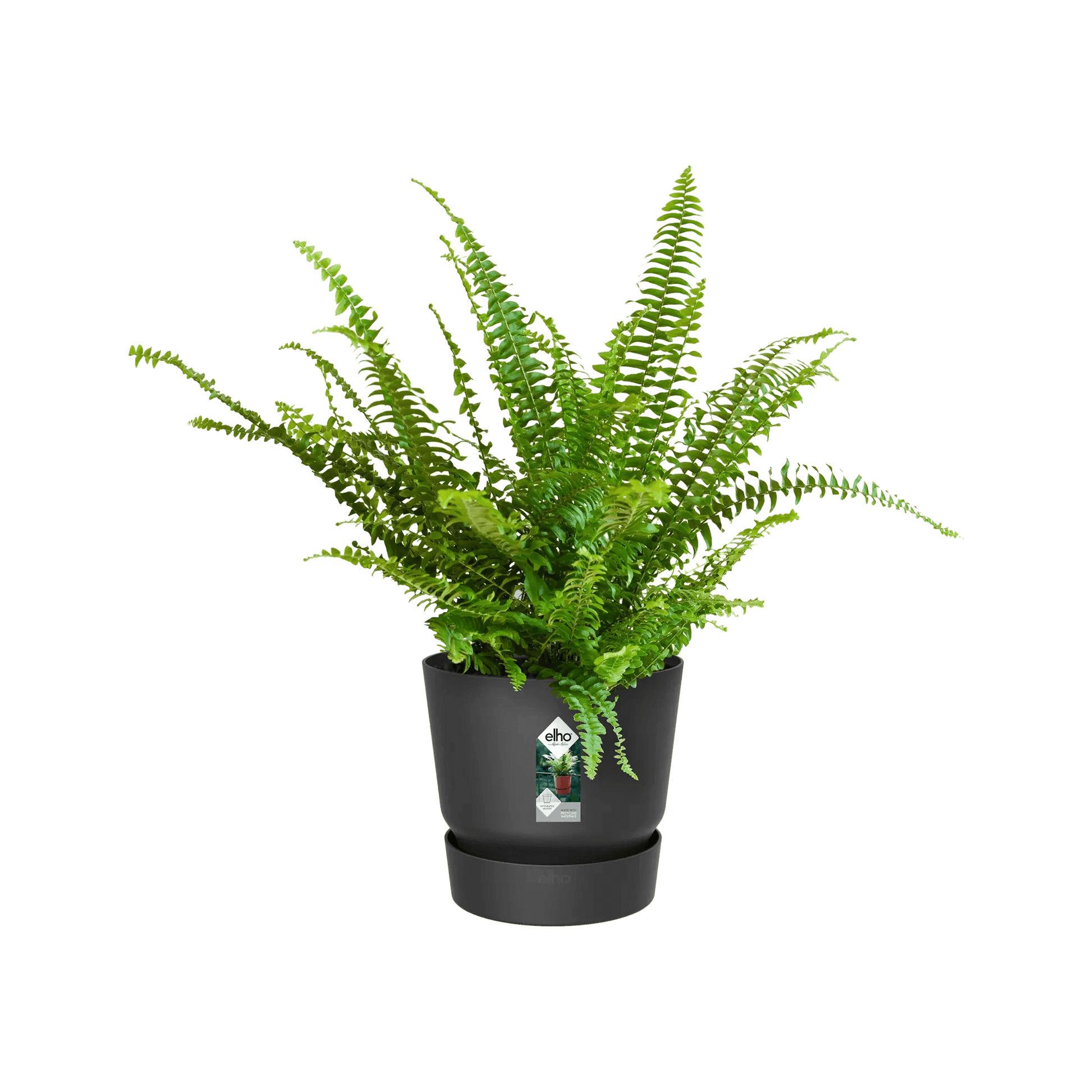 Greenville Easy Hanger Single (Black) - Rathwood Store