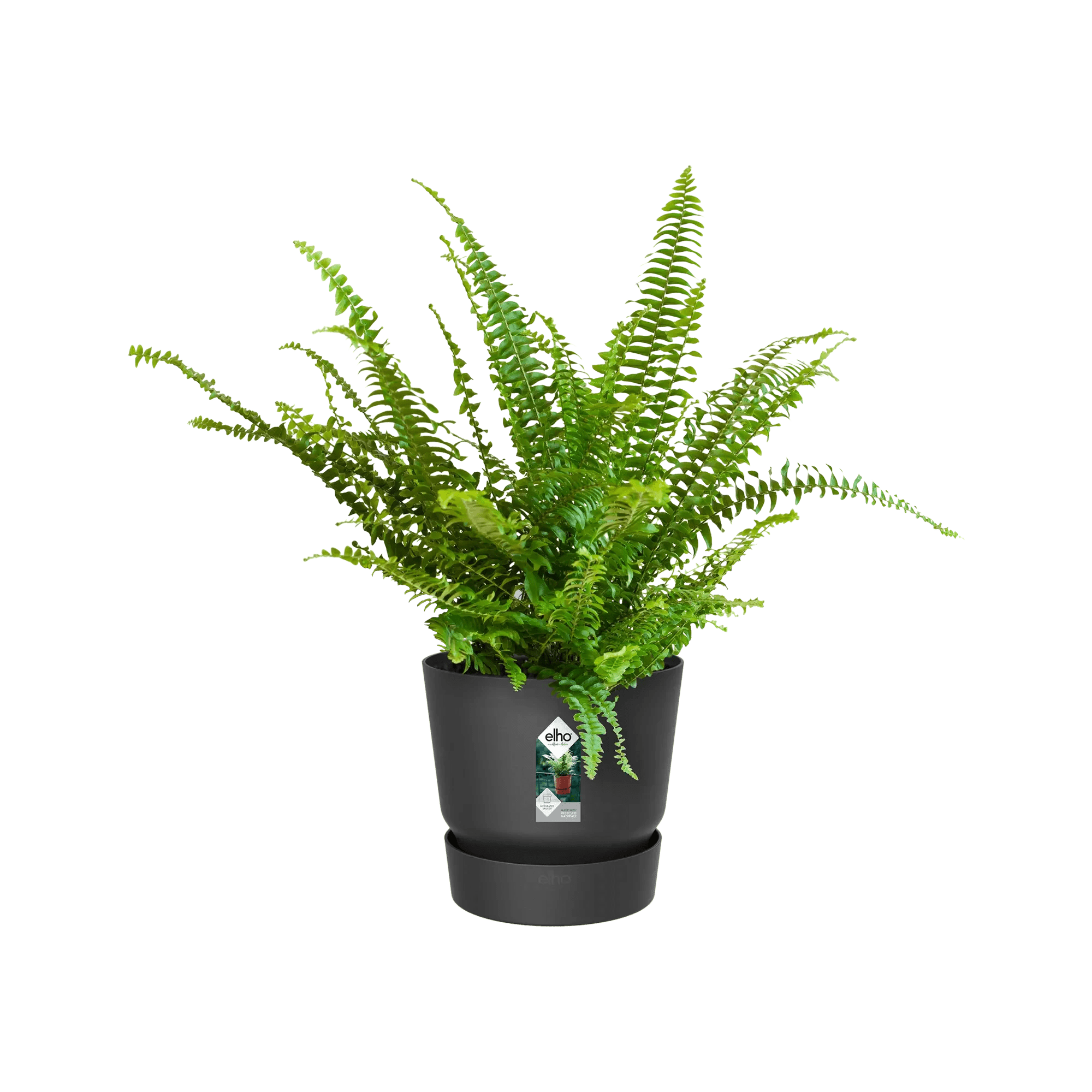 Greenville Easy Hanger Single (Black) - Rathwood Store