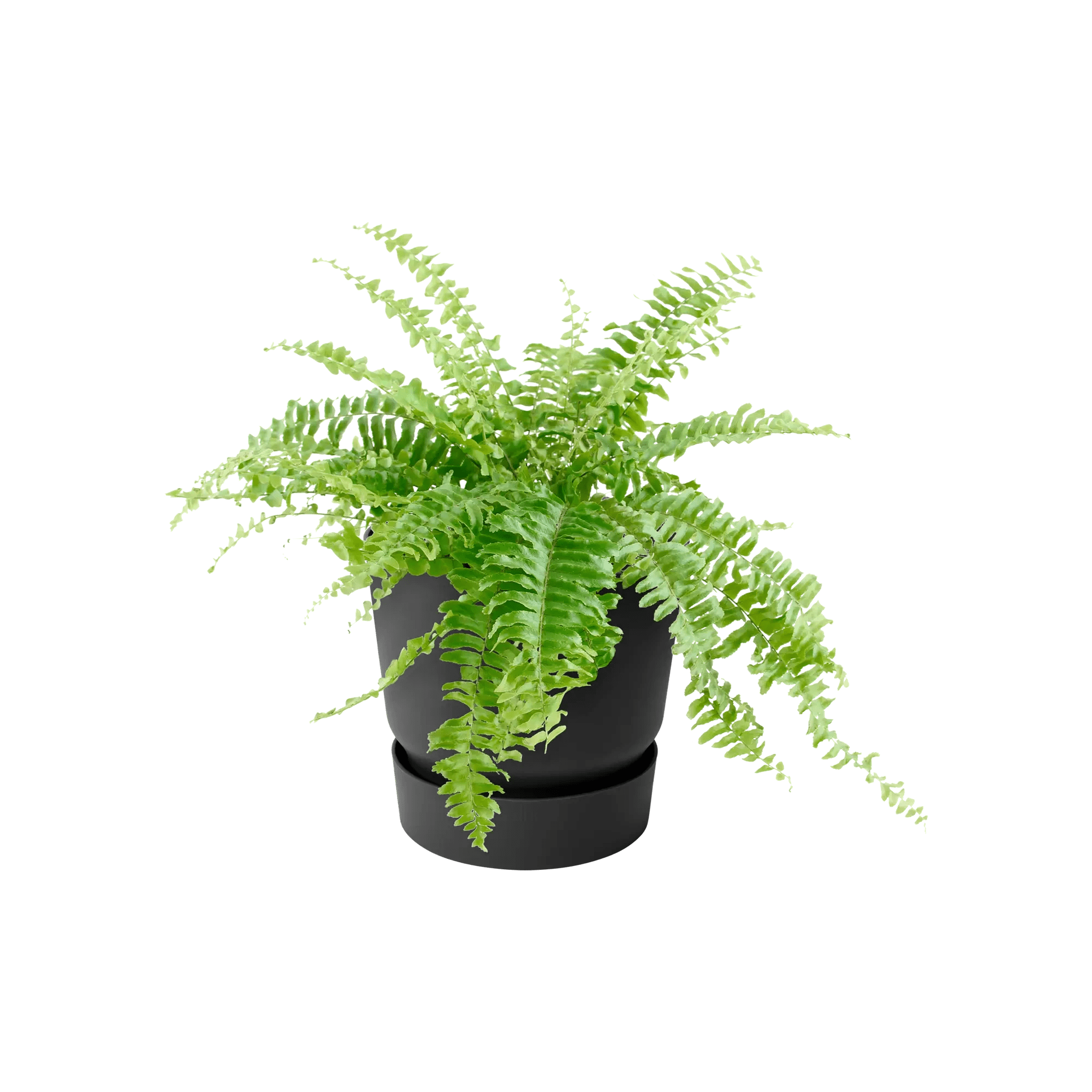 Greenville Easy Hanger Single (Black) - Rathwood Store