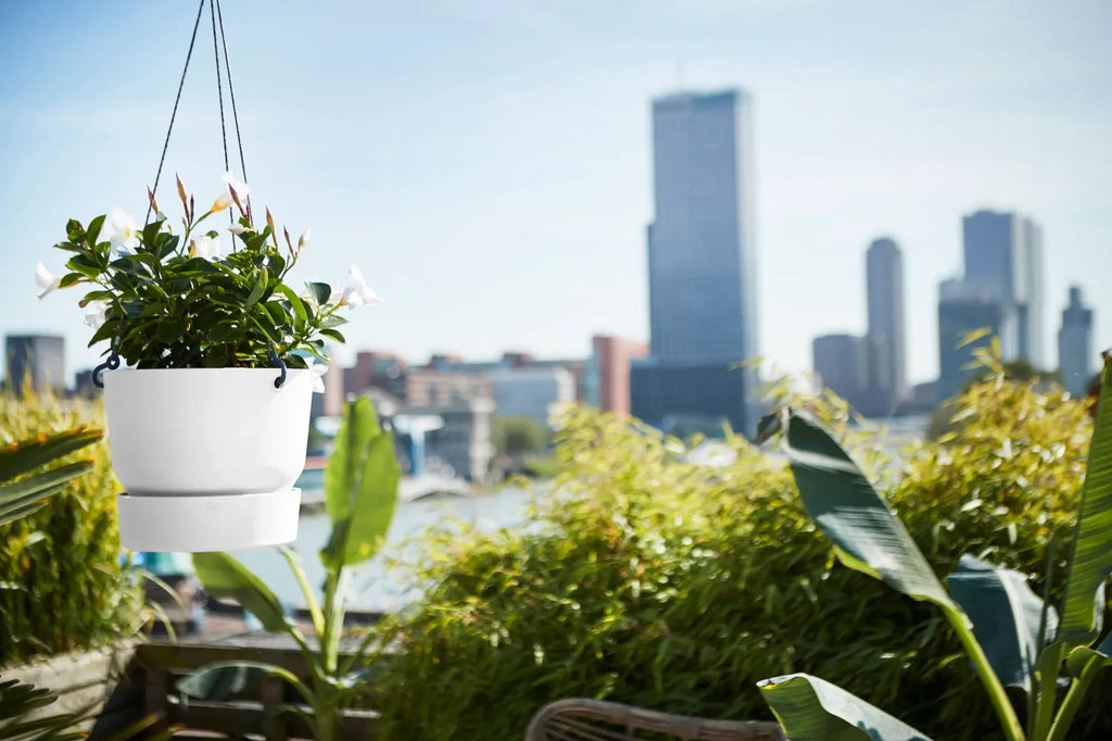 Greenville Hanging Basket 24Cm (White) - Rathwood Store
