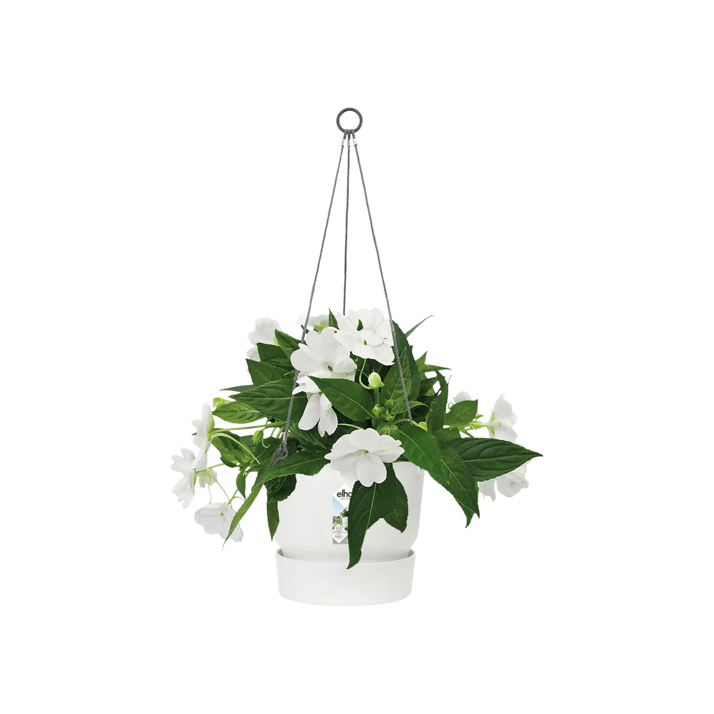 Greenville Hanging Basket 24Cm (White) - Rathwood Store