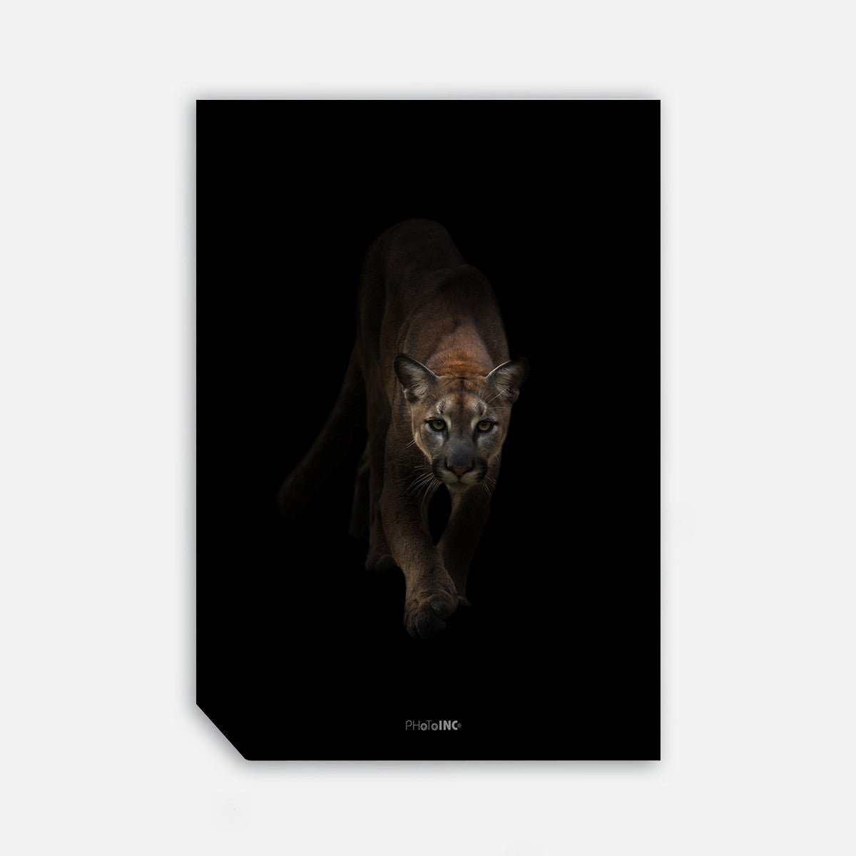 I'm Coming, 50cmx70cm wall art - Rathwood Store