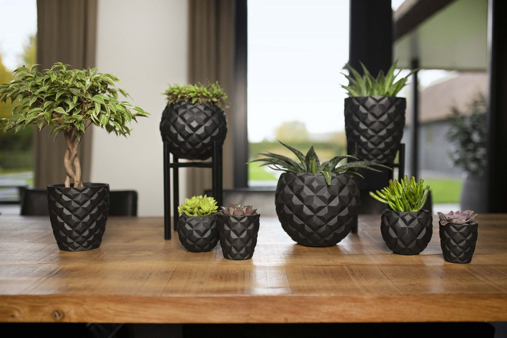 Indoor Lux Heraldry Ball Planter (Black) - 18cm Dia - Rathwood Store