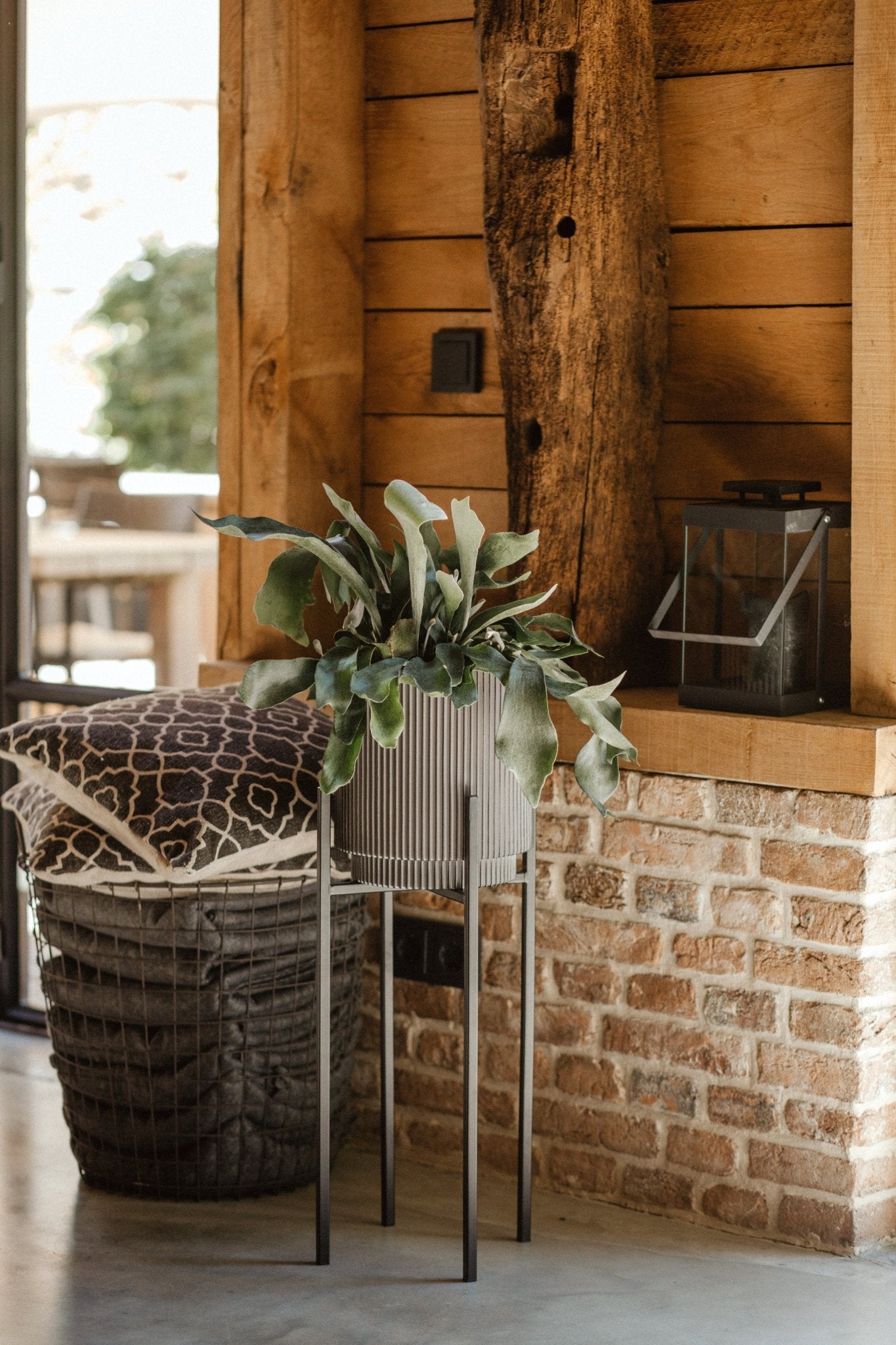 Indoor Nature Groove Cylinder Planter (Anthracite) - 11cm Dia - Rathwood Store