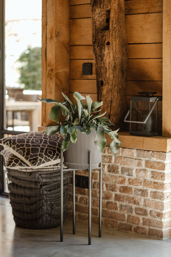 Indoor Nature Groove Cylinder Planter (Anthracite) - 19cm Dia - Rathwood Store