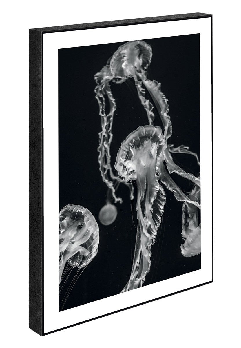 Jelly, 15cmx21cm art block - Rathwood Store