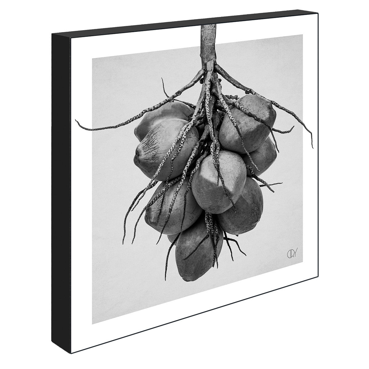 Kokos, 21cmx21cm art block - Rathwood Store