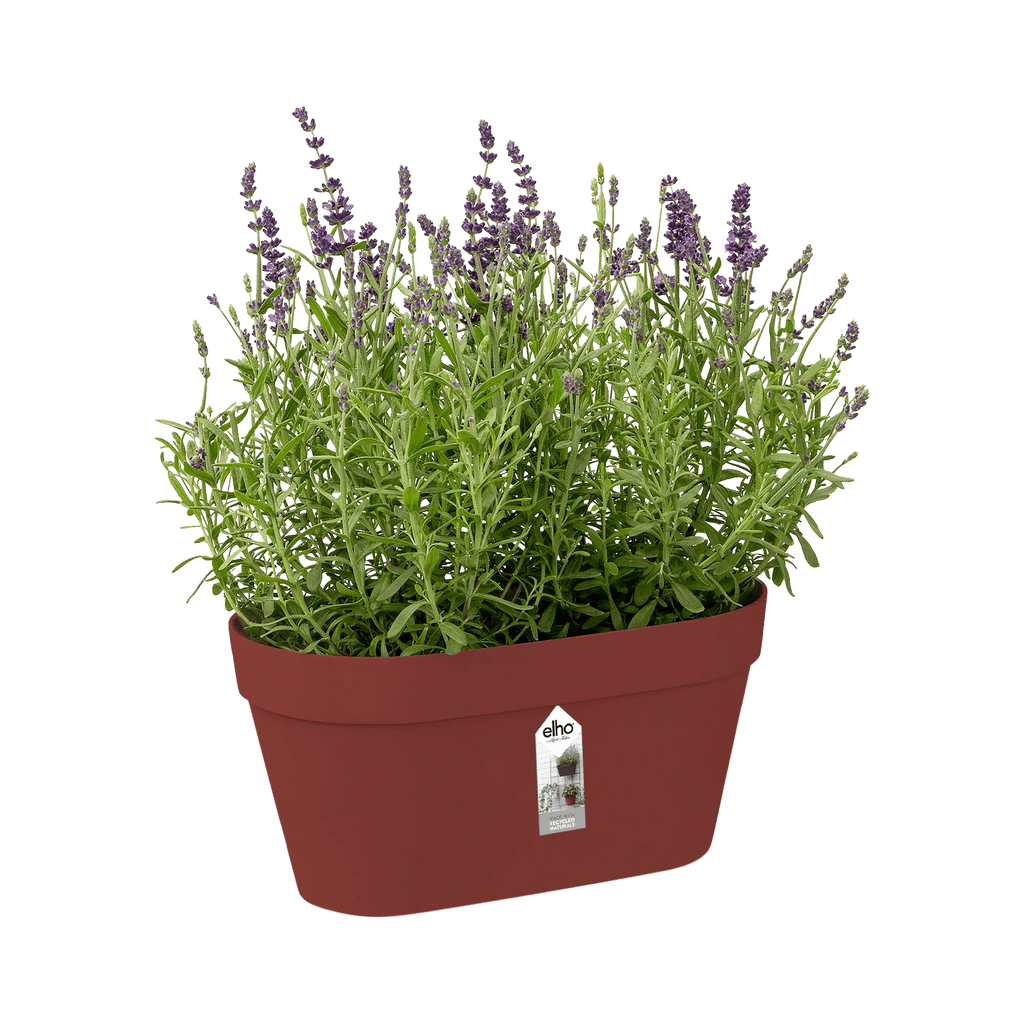 Loft Urban Green Wall Duo 28Cm (Brique) - Rathwood Store